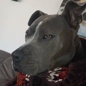 Meet your Posher, Roberto